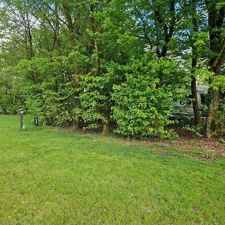 Camping Alkenhaer Appelscha Lege Kampeerplaats المظهر الخارجي الصورة
