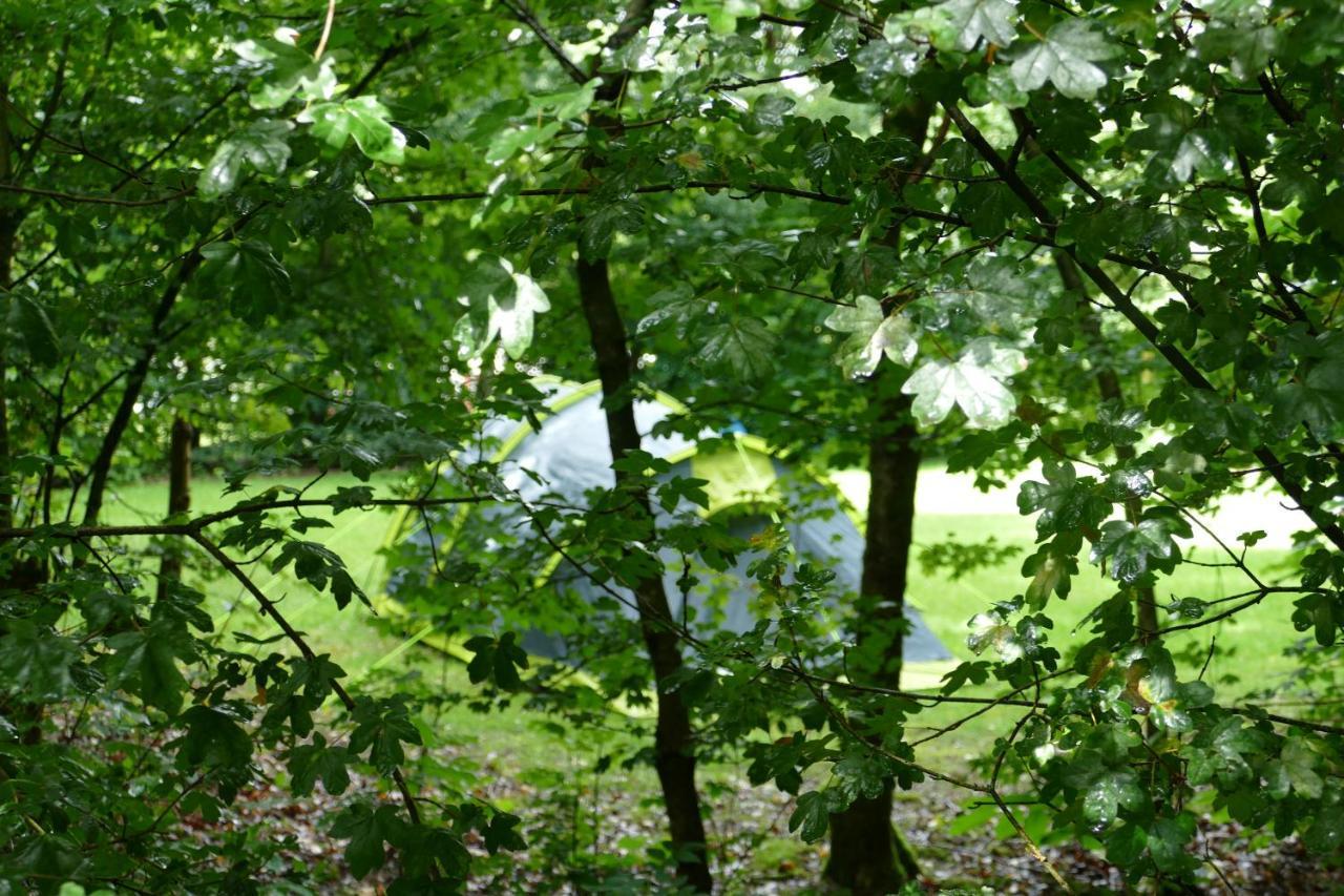 Camping Alkenhaer Appelscha Lege Kampeerplaats المظهر الخارجي الصورة