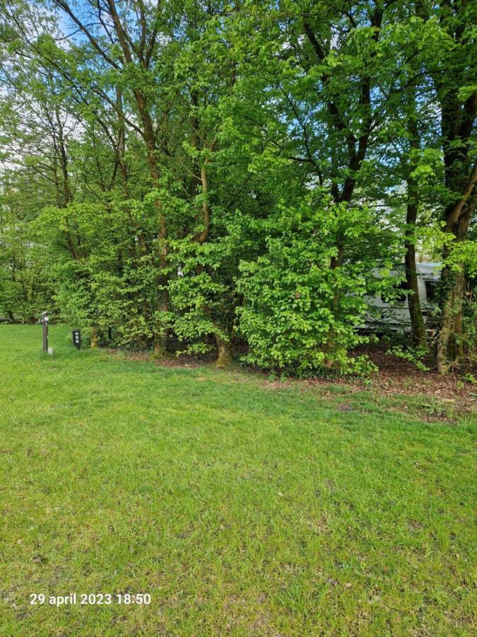 Camping Alkenhaer Appelscha Lege Kampeerplaats المظهر الخارجي الصورة